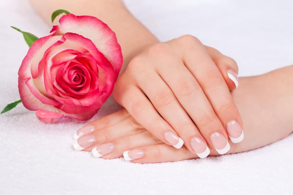 Female hands with french manicure