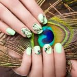 Art design manicure with peacock feather on female hands