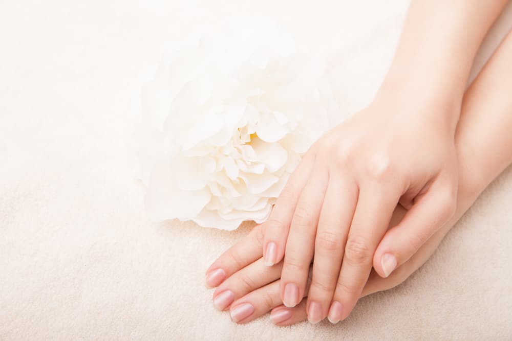 Beautiful hand with perfect nail french manicure and white flower